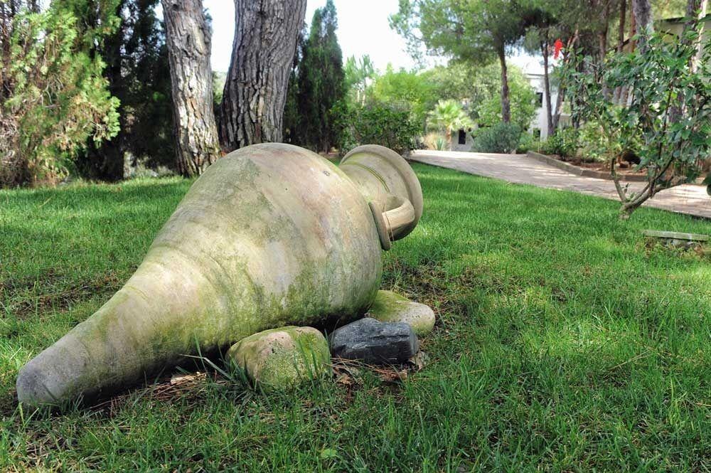 Villaggio Pineta Petto Bianco Capo Vaticano Zewnętrze zdjęcie